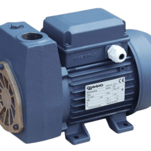 BOMBA AUTOCEBANTE DE ANILLO LÍQUIDO REGGIO STAL 80 0.8HP 220V 1” x 1”